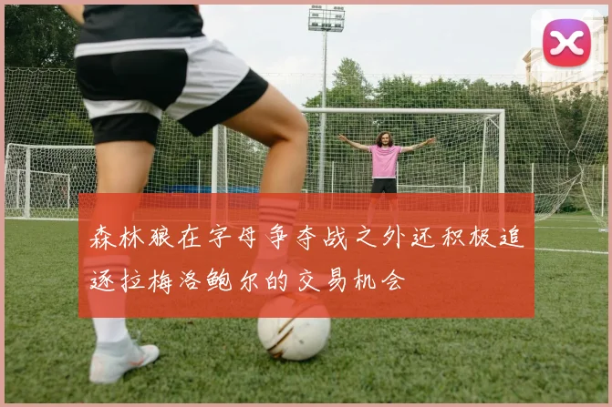 森林狼在字母争夺战之外还积极追逐拉梅洛鲍尔的交易机会