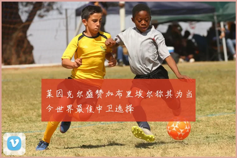 莱因克尔盛赞加布里埃尔称其为当今世界最佳中卫选择