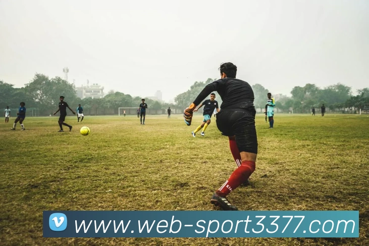 3377体育平台生态图