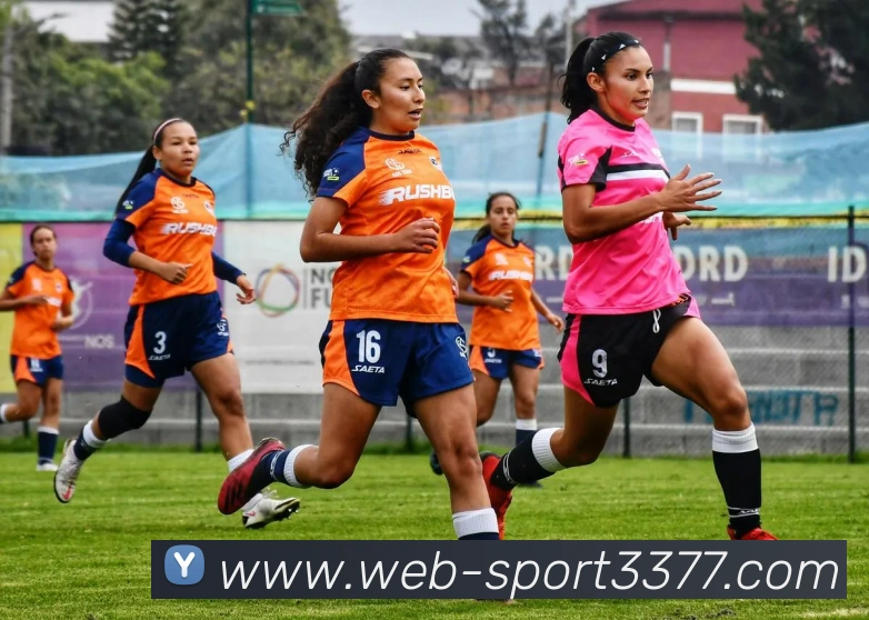 3377体育APP 封面图